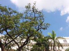 Posibilidad ng pag-ulan ngayong weekend, mababa dahil sa Easterlies