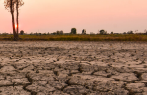 Hakbang para sa epekto ng El Nino, climate change paiigtingin ng Malakanyang