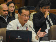 Energy transition vs. fossil fuel, dapat tuloy-tuloy kahit humupa na MidEast war – Gatchalian