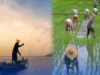 PBBM, may go signal na sa fuel subsidy sa sektor ng agrikultura