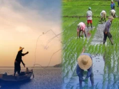 PBBM, may go signal na sa fuel subsidy sa sektor ng agrikultura