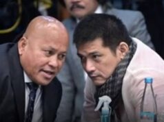 Padilla oks maimbestigahan sa pagtulong kay Bato