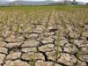 Presyo ng basic goods, langis, paghahanda sa Super El Niño, prayoridad ng Senado – Win