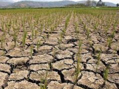 Presyo ng basic goods, langis, paghahanda sa Super El Niño, prayoridad ng Senado – Win