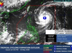 Bagyong Domeng lumakas, naging typhoon