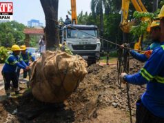 DENR dumipensa sa mga pinutol na kahoy sa SALEX: Karamihan bulok na