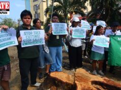 DENR: Mga punong pinutol sa Q. Ave, gagawing school chairs, table