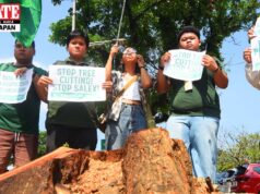 Pagputol ng matatandang puno para sa SALEX, kinondena ng envi groups