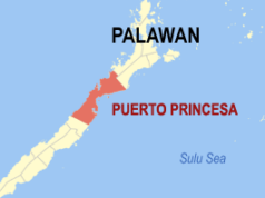 Asawa ng dating mayor, patay sa aksidente sa Palawan