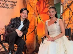 Joshua, hindi raw bagay kay Anne!
