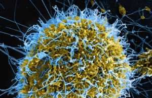 Kaso ng Ebola sa Congo, umabot na sa halos 600