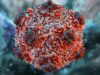 3 utas sa hantavirus sa Venezuela