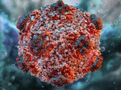 3 utas sa hantavirus sa Venezuela