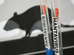 WHO: Hantavirus cases sa cruise ship, umabot na sa 13