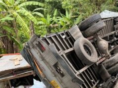 2 senior utas sa araro ng 10-wheeler truck sa Quezon