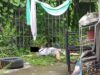 Dating konsehal itinumba patay sa Bataan