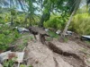 Higit 2,000 aftershocks naitala matapos M7.8 lindol sa Mindanao
