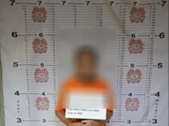 Kapatid ng ex-Cebu Gov. inaresto sa kasong Safe Spaces Act