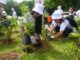 #ArborDay2026 sa Maynila pinangunahan nina Isko, Atienza
