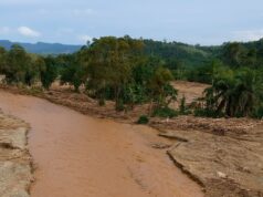 7% ng populasyon ng rare orangutan wipe-out sa baha sa Indonesia