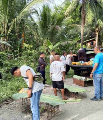 Indonesian arestado sa nasabat na P5.5M protected wildlife species sa Sarangani