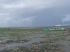 M-7.8 na lindol nagdulot ng coastal uplift sa Sarangani, Davao Occidental