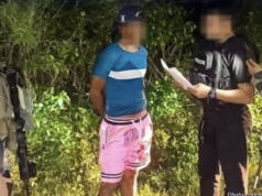 No. 1 Most wanted sa gubat, nalambat sa Bulacan