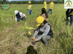 Ipilan Nickel, patuloy na tumutupad sa reforestation mandates; muling pinagtibay ang commitment sa environmental protection sa Palawan