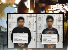 P160K illegally sourced lumber nasamsam sa Occidental Mindoro