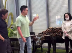 Bimby, ima-manage ng team ni Dingdong!