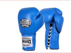 PH boxers nag-uwi ng apat ng ginto mula sa Serbia, Netherlands tourneys