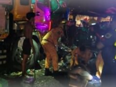4 patay, 11 sugatan sa araro ng trak sa lamay sa gilid ng kalsada