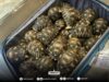 50 endangered na Pagong, nasabat sa NAIA; Malaysian passenger, inaresto