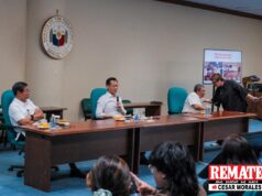 Special session, impeachment trial pinaghahandaan ng Gatchalian bloc