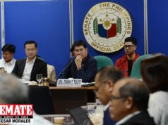 Pagkalugi sa sistema ng kuryente, sinuri sa Senado