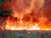 Libo-libo lumikas sa wildfire sa Europe