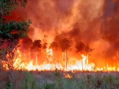 Libo-libo lumikas sa wildfire sa Europe