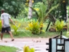 Resort sa Zambo binatikos sa pagkitil sa mga asong gala