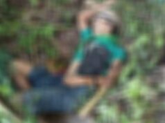 77-anyos, patay sa kuyog ng mga bubuyog sa Leyte