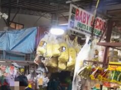 Tindera ng gulay niratrat, kritikal