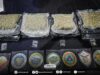 P10.15-M marijuana resin at kush, nasabat ng BOC sa Clark