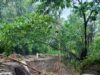 Kalsada sa Sultan Kudaran, sarado sa landslide