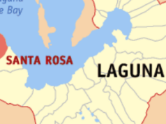 2.5 tonelada ng illegal poultry products nasamsam sa Laguna