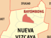 2 abogado ng anti-mining, kinasuhan ng cyberlibel