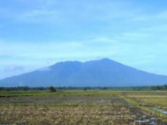 Tour guide sa Mt. Isarog sinibak sa alegasyon ng harassment sa hiker