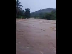 M’danao binahan sa hagupit ng habagat; P2.3-M pinsala sa sakahan naitala