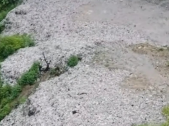 Ancestral land ng Aetas na ginawang dumpsite, pinaiimbestigahan ni Padilla