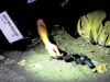 EJKs, nagpatuloy sa ilalim ng Marcos admin – watchdogs
