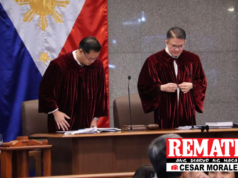 BIR Green Box, tinabla; 4 rulings aprubado ng impeachment court