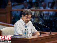 Oplan Romanov nagmula kay Davao Mayor Duterte, babala laban sa pamilya Marcos, ‘di kay VP Sara – Lotoc